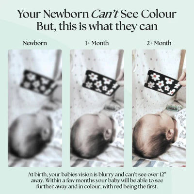 Little Senses – Newborn Sensory Cards